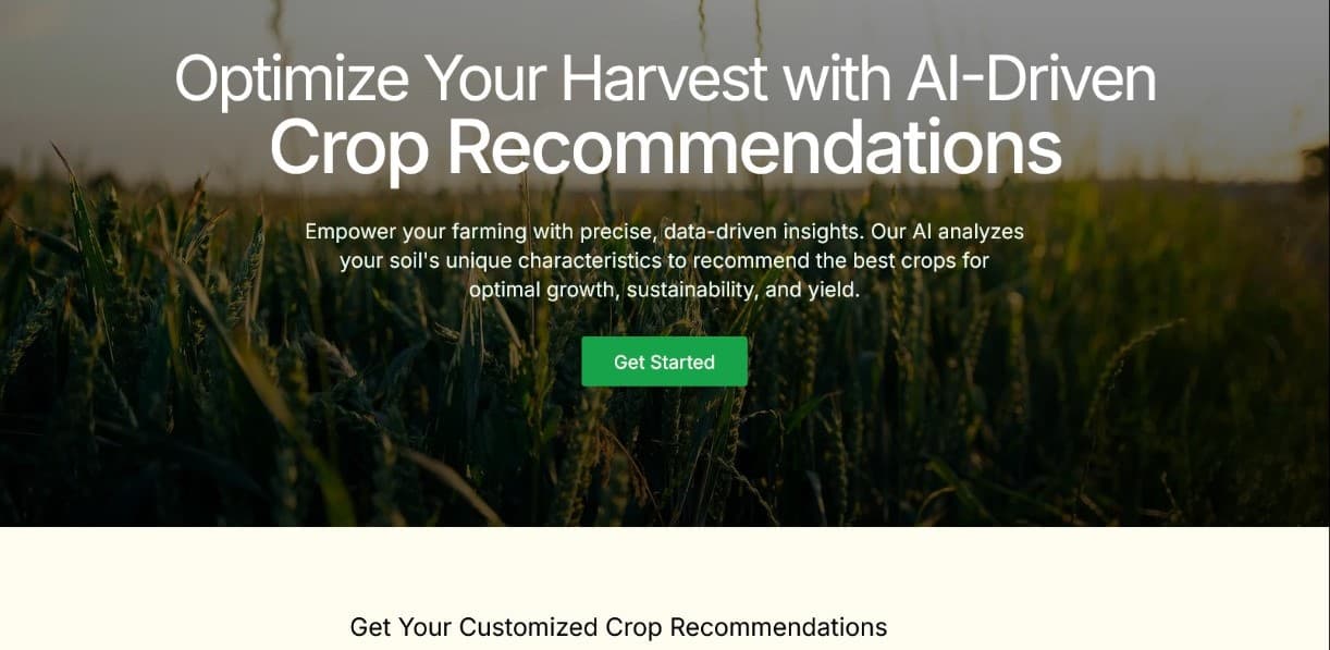 Mohamed Heikal - Project